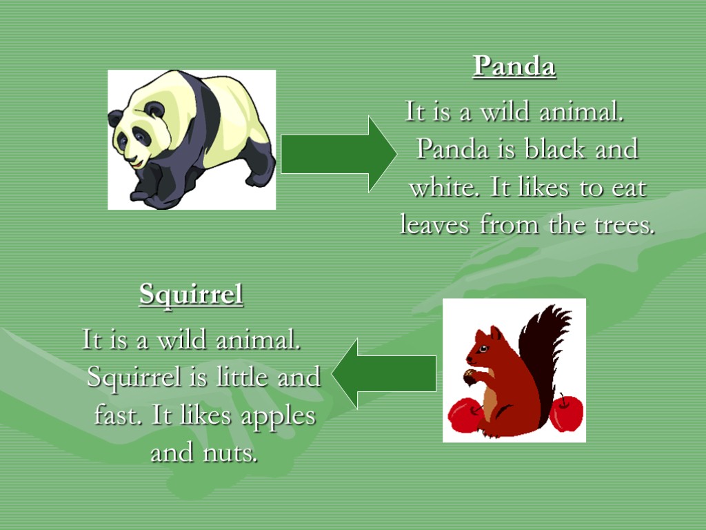 Panda It is a wild animal. Panda is black and white. It likes to
